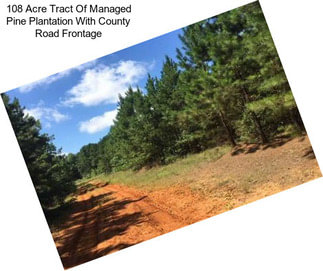 108 Acre Tract Of Managed Pine Plantation With County Road Frontage