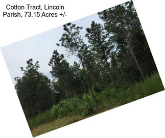 Cotton Tract, Lincoln Parish, 73.15 Acres +/-