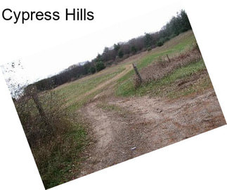 Cypress Hills