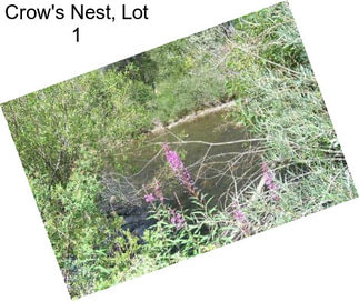 Crow\'s Nest, Lot 1