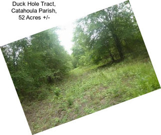 Duck Hole Tract, Catahoula Parish, 52 Acres +/-