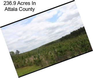 236.9 Acres In Attala County