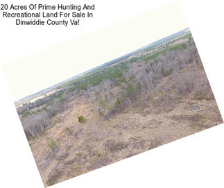 20 Acres Of Prime Hunting And Recreational Land For Sale In Dinwiddie County Va!