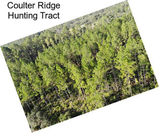 Coulter Ridge Hunting Tract