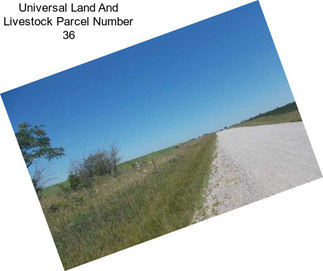 Universal Land And Livestock Parcel Number 36