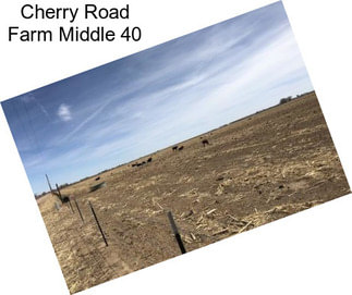 Cherry Road Farm Middle 40