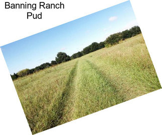 Banning Ranch Pud