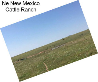 Ne New Mexico Cattle Ranch