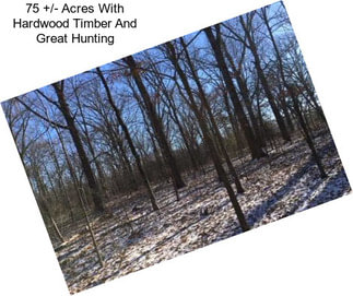 75 +/- Acres With Hardwood Timber And Great Hunting