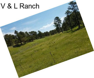 V & L Ranch