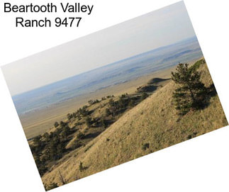 Beartooth Valley Ranch 9477