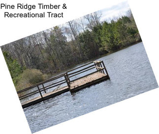 Pine Ridge Timber & Recreational Tract