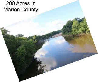 200 Acres In Marion County