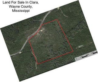 Land For Sale In Clara, Wayne County, Mississippi