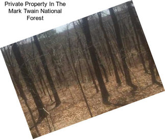 Private Property In The Mark Twain National Forest