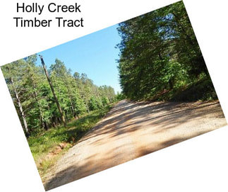 Holly Creek Timber Tract