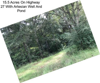 15.5 Acres On Highway 27 With Artesian Well And Pond