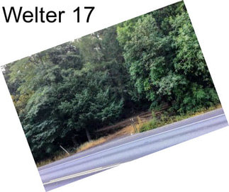 Welter 17