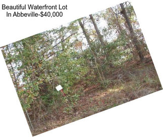 Beautiful Waterfront Lot In Abbeville-$40,000