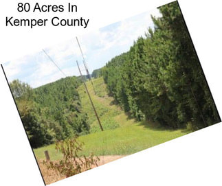 80 Acres In Kemper County