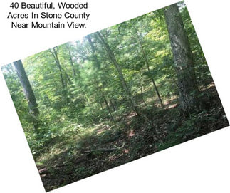 40 Beautiful, Wooded Acres In Stone County Near Mountain View.