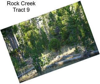 Rock Creek Tract 9