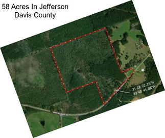 58 Acres In Jefferson Davis County