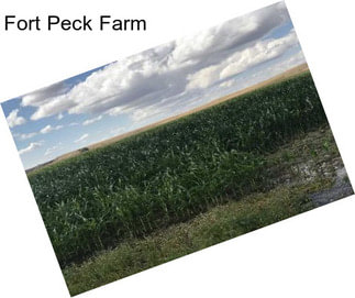 Fort Peck Farm