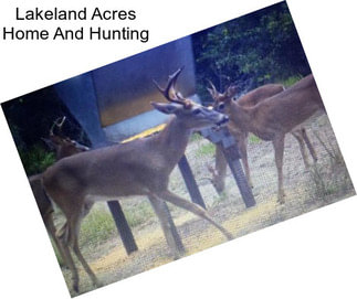 Lakeland Acres Home And Hunting