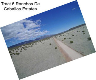 Tract 6 Ranchos De Caballos Estates