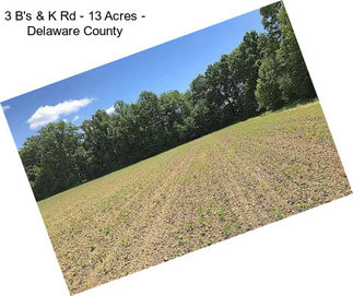 3 B\'s & K Rd - 13 Acres - Delaware County