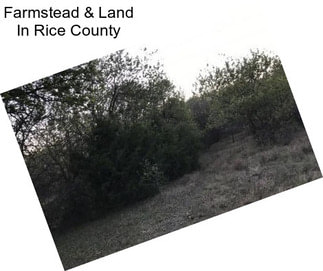 Farmstead & Land In Rice County