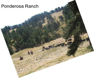 Ponderosa Ranch