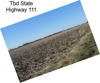 Tbd State Highway 111