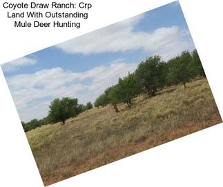Coyote Draw Ranch: Crp Land With Outstanding Mule Deer Hunting
