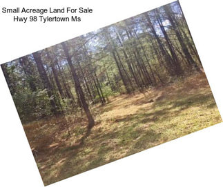 Small Acreage Land For Sale Hwy 98 Tylertown Ms