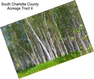 South Charlotte County Acreage Tract 4