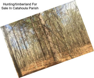 Hunting/timberland For Sale In Catahoula Parish
