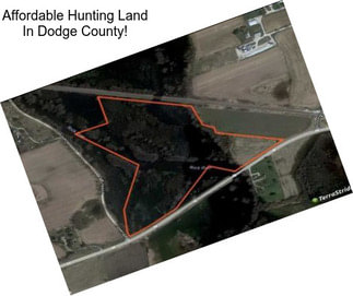 Affordable Hunting Land In Dodge County!