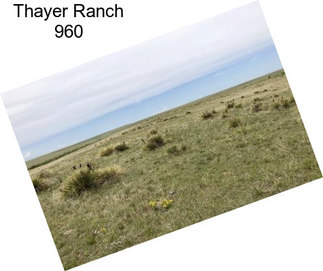 Thayer Ranch 960