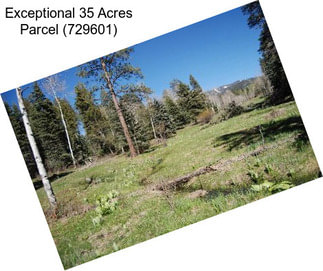 Exceptional 35 Acres Parcel (729601)