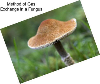 Method of Gas Exchange in a Fungus