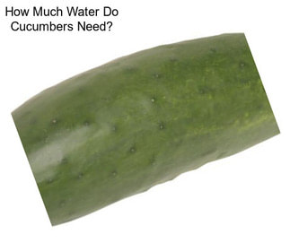 How Much Water Do Cucumbers Need?