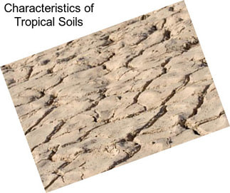 Characteristics of Tropical Soils