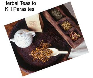 Herbal Teas to Kill Parasites
