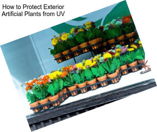 How to Protect Exterior Artificial Plants from UV