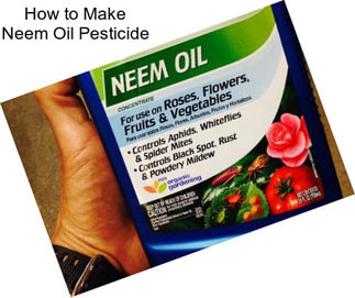 How to Make Neem Oil Pesticide