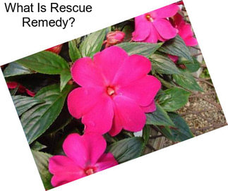 What Is Rescue Remedy?