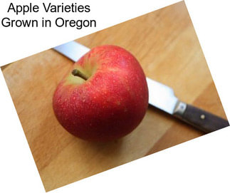 Apple Varieties Grown in Oregon