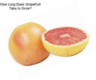 How Long Does Grapefruit Take to Grow?